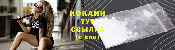 гидра Абаза