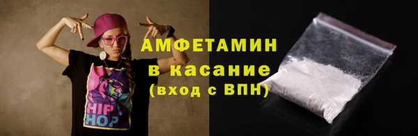 гидра Абаза