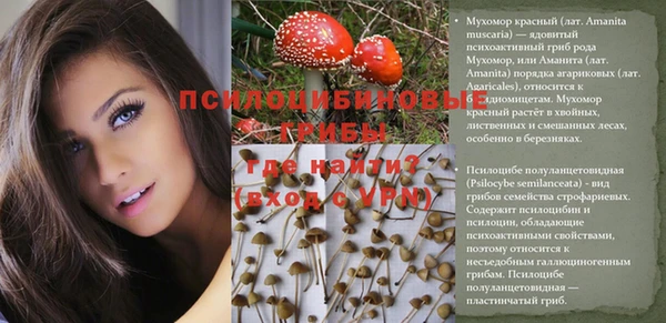 гидра Абаза