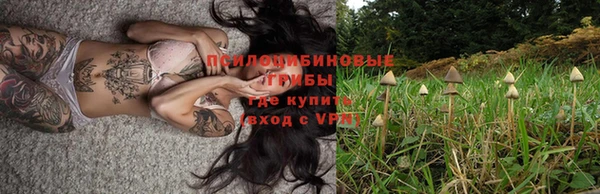 гидра Абаза