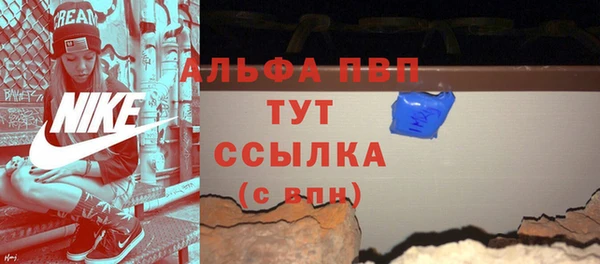 гидра Абаза