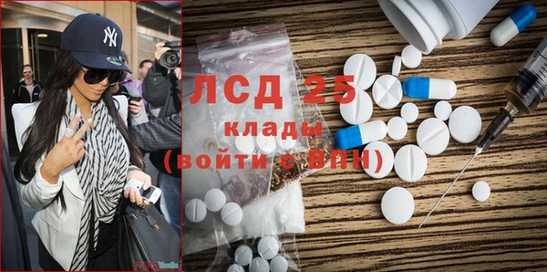 гидра Абаза