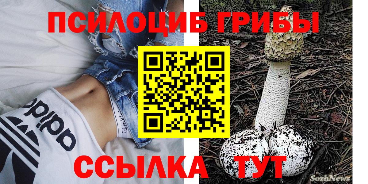 Галлюциногенные грибы GOLDEN TEACHER Шумерля